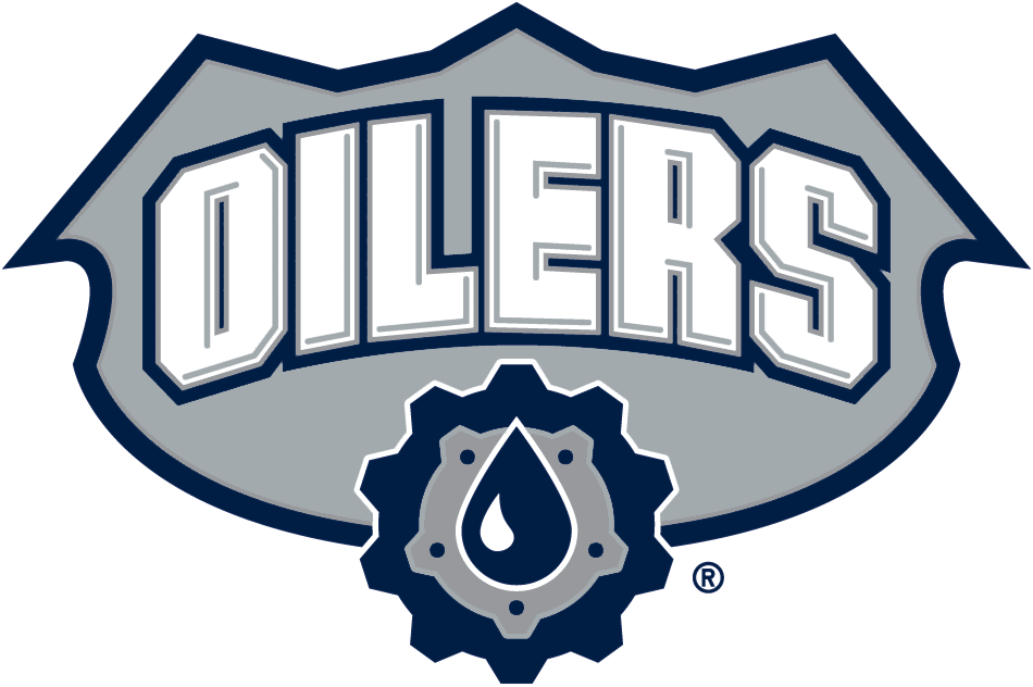 Edmonton Oilers 2001-2007 Alternate Logo t shirts iron on transfers